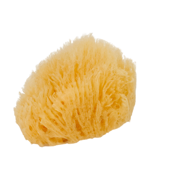 Natural Bath Grass Sea Sponge