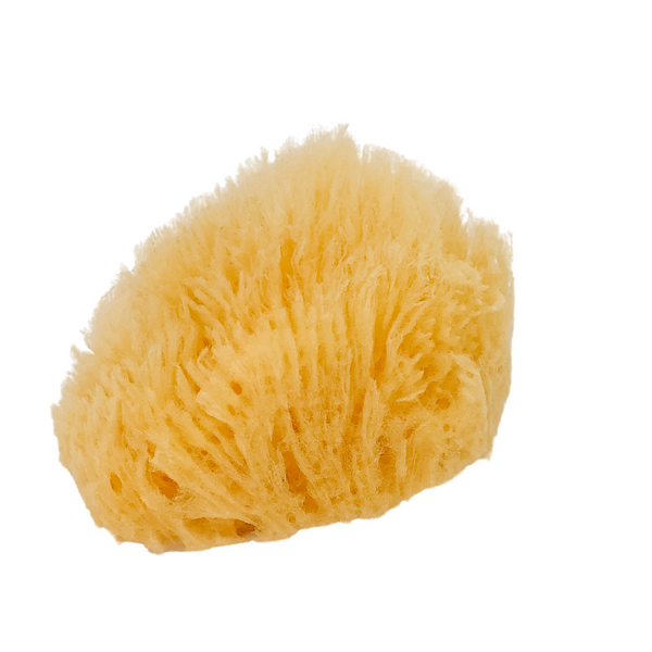 NATURAL BATH SEA SPONGE - GRASS - 4 inches