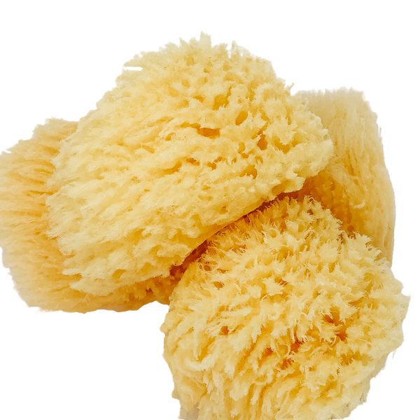 Natural Bath Grass Sea Sponge