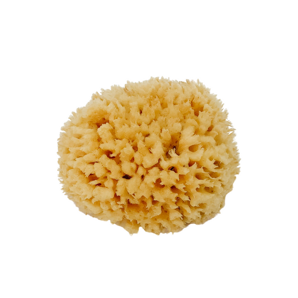 Natural Bath Wool Sea Sponge