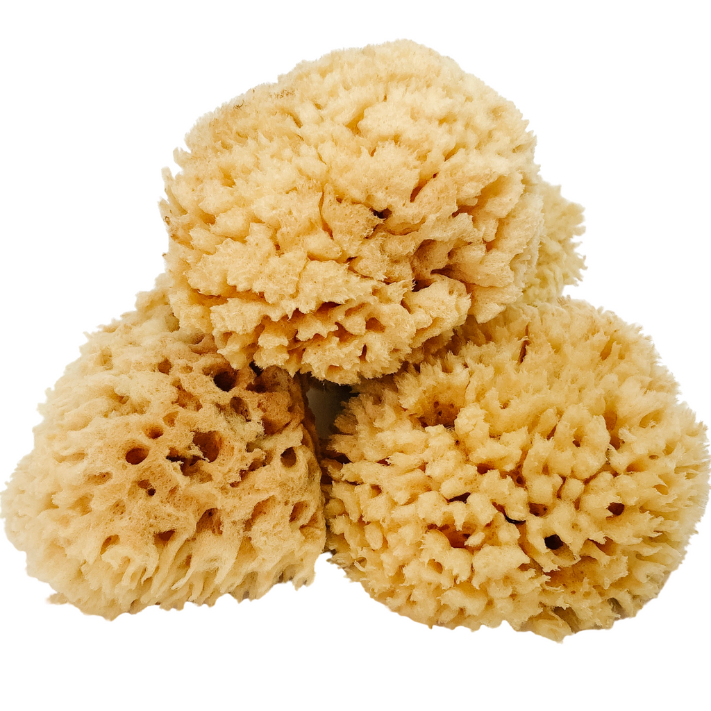 Natural Bath Wool Sea Sponge