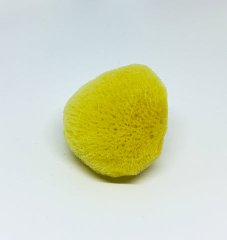 Yellow sponge on a white background